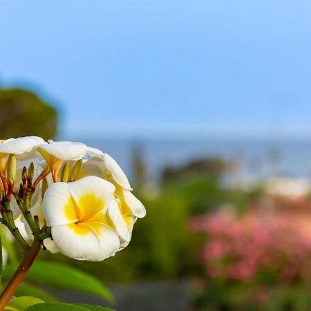 Nice To Stay Фонтане Бианче Екстериор снимка